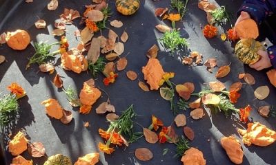 Nature inspired play dough