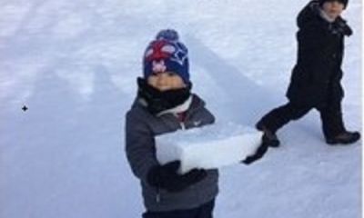 Bobsleigh Adventures