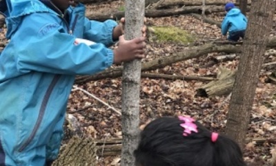 Risky Play in the Forest