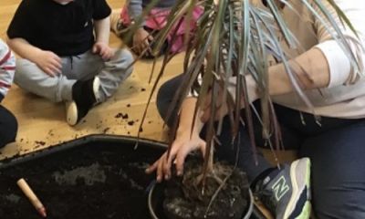 Taking Care of Our Plants