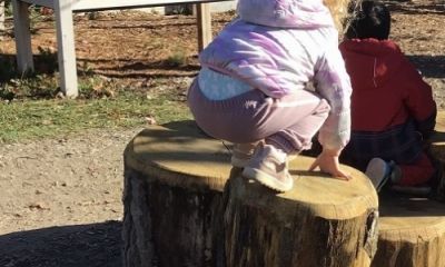 Exploring Gross Motor on Our Natural Playground 