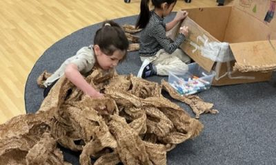 It’s a game, it’s hair, it’s a reindeer!? 