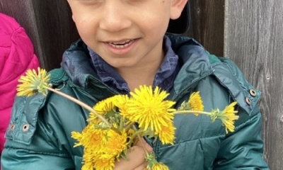 Exploring Dandelions