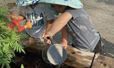 How does our garden grow? 