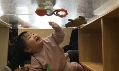 Uh oh! They're stuck!