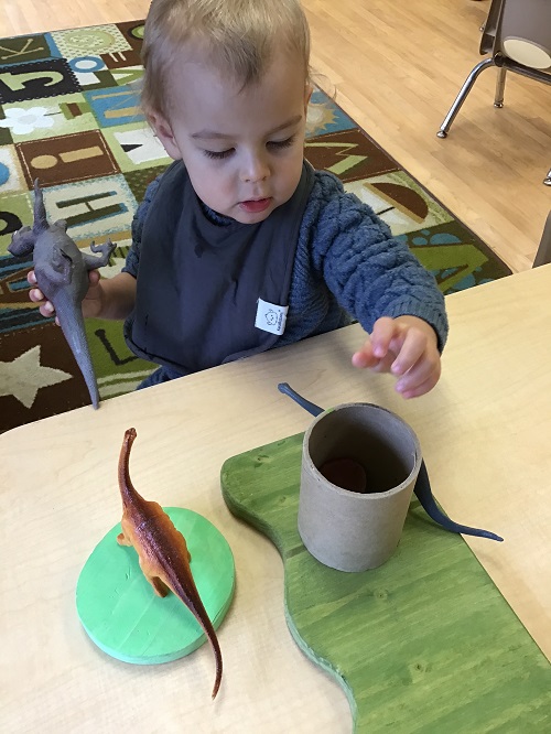 child palying with dinosaurs
