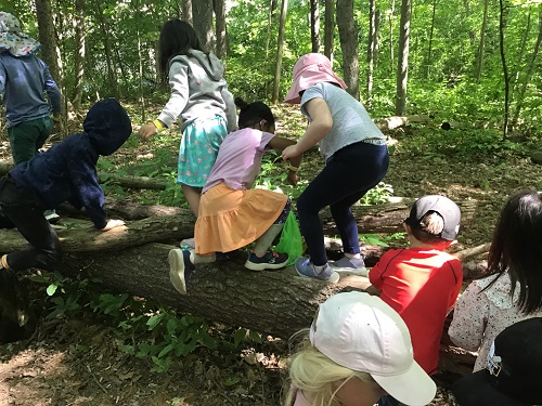 Children supporting each other on the log