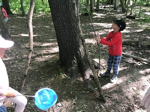 Child balancing sticks on tree for structure