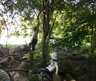 Child balancing on branch