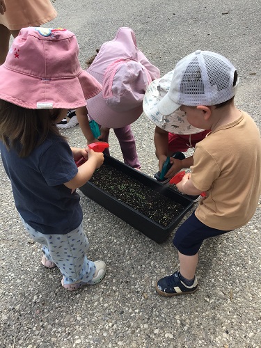 Toddlers watering the plants