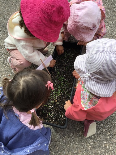 Toddlers looking at the plants progress