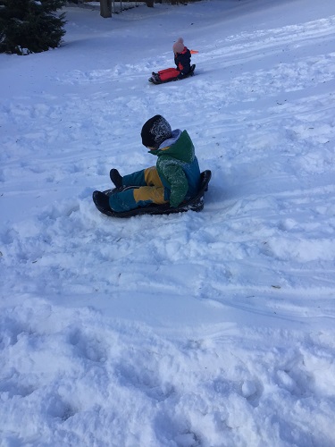 Children sliding down the hill on toboggans