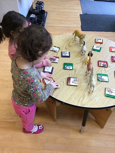 2 Toddler children standing at the table with 5 animal figures and square magnetic tiles with half photos of animals on for the children to match