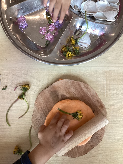 Exploring natural parts with playdough
