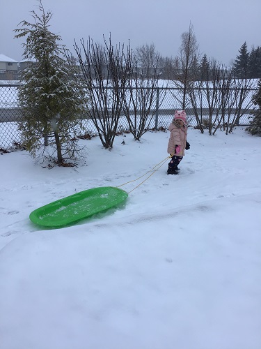 Toddler girl pulling sled