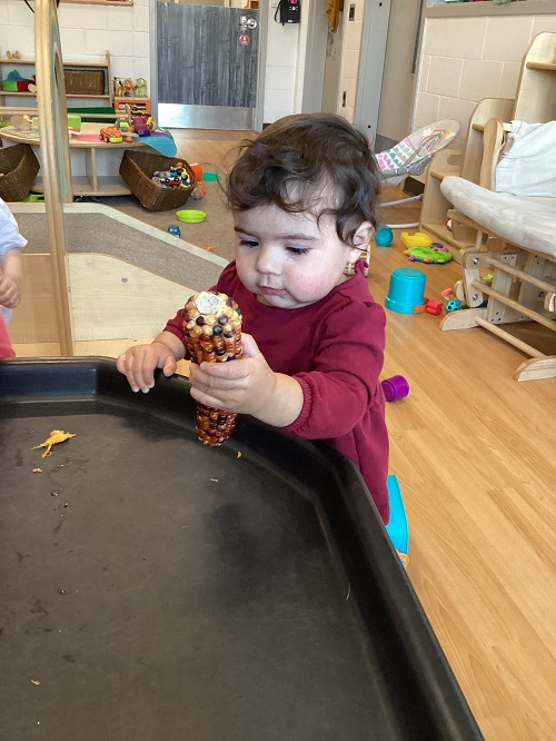 A toddler exploring some fall corn