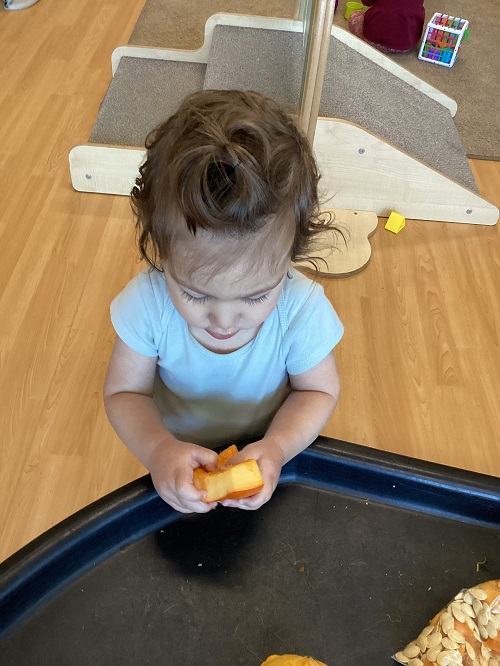 An infant exploring a pumpkin