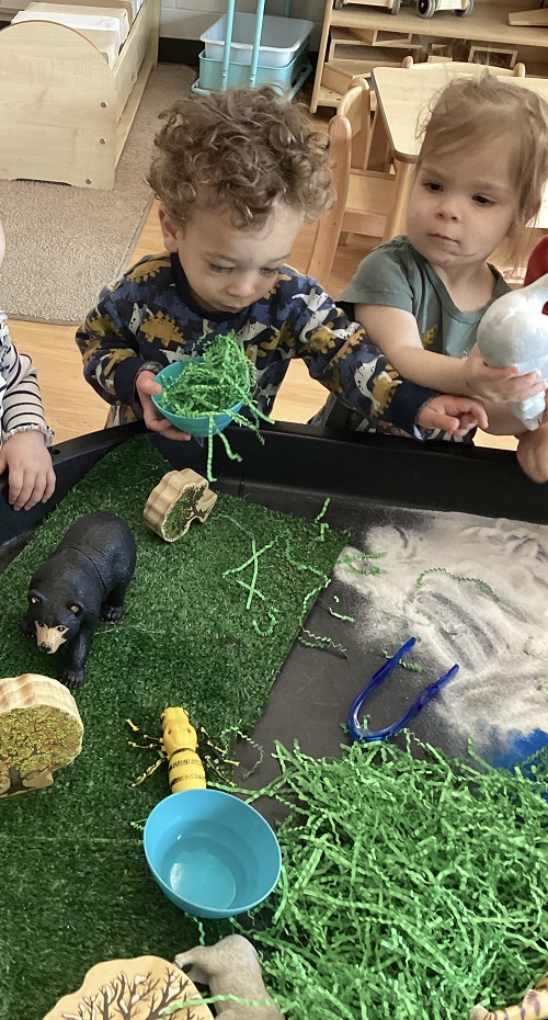 Children exploring the animal habitats in the tuff-tray.