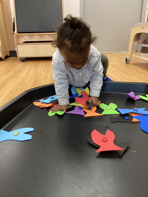 Learning with Magnets