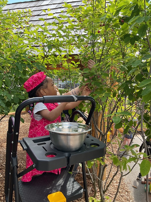 a girl in pink picking berries