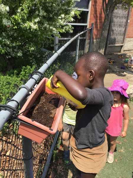 boy watering the garden