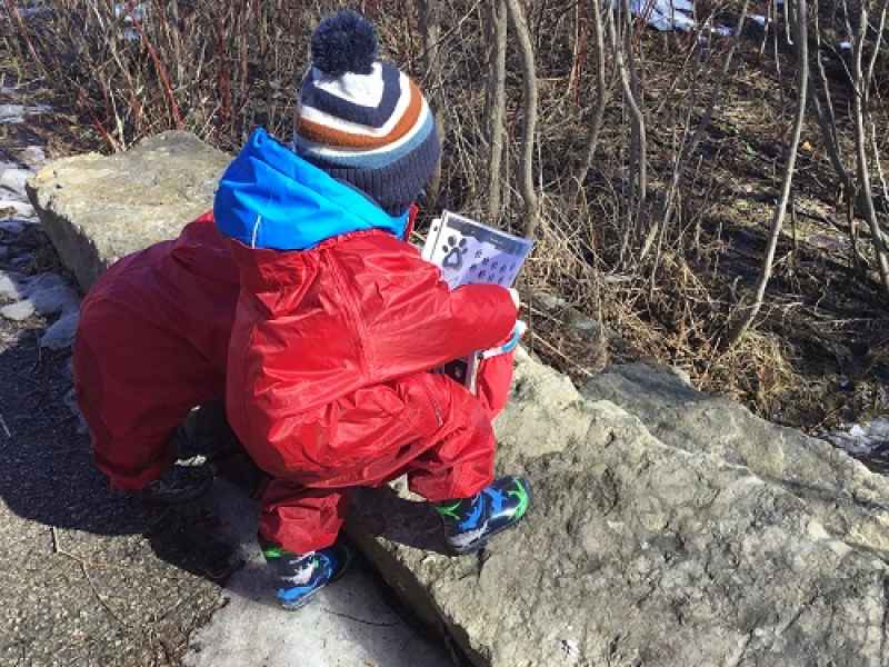toddlers examining paw prints in the forest
