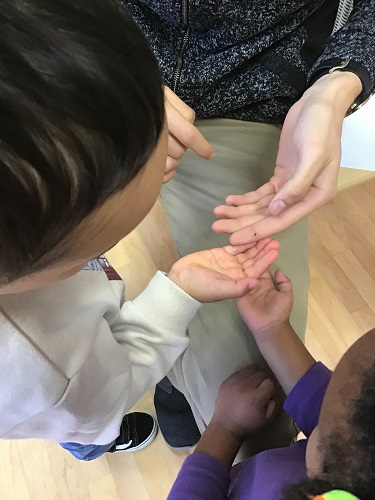 A child and an educator's hands holding a spider