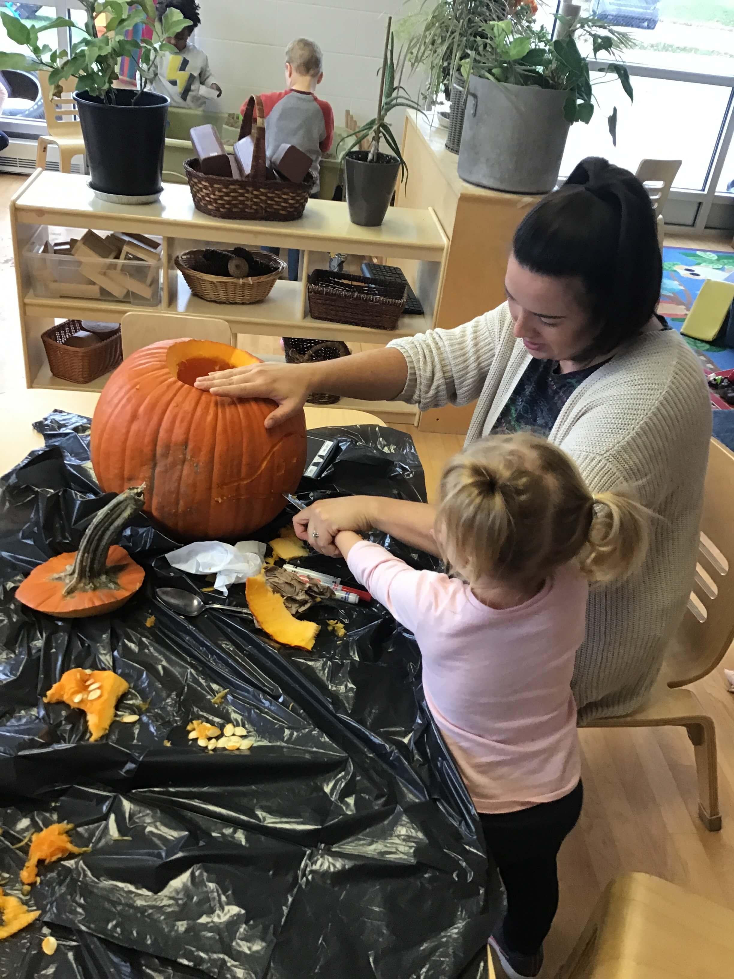 carving a pumpkin of butterfly lifecycle