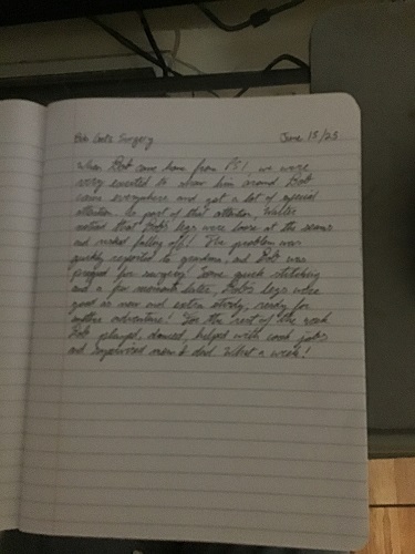 Description of the experience