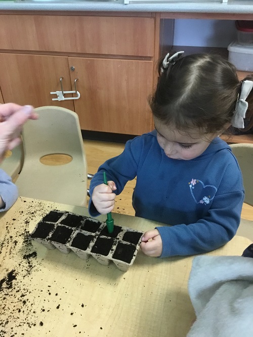 child putting seeds into soil