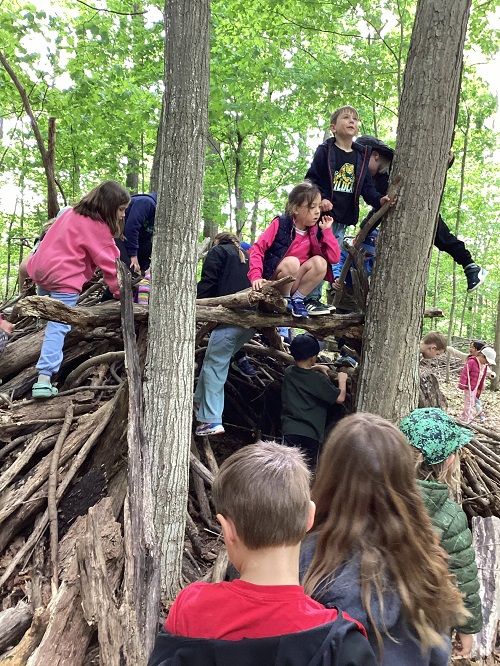 children climbing a structure in the forest