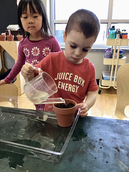 Child watering their soil.