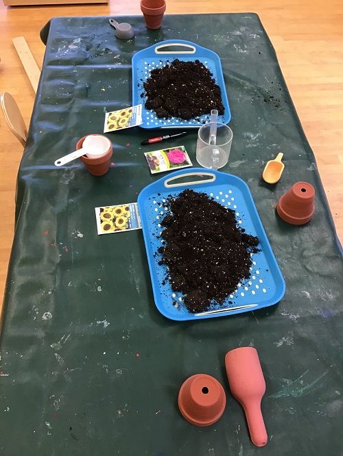 Table with planters, soil and scoops ready for the children to explore. 