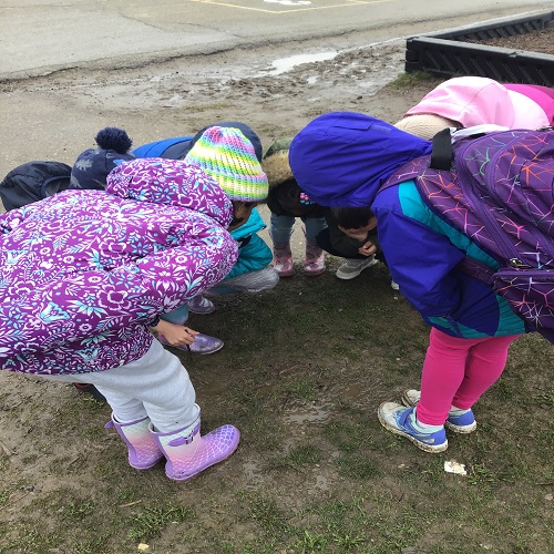 A group of children observing a worm.