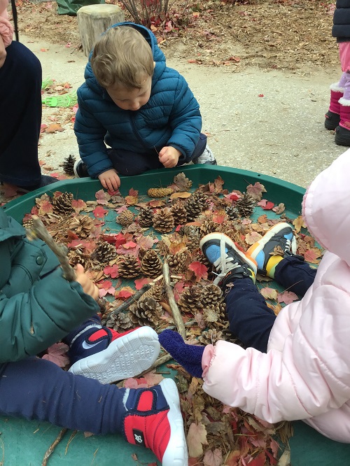 Children exploring leaves in the tuff tray.