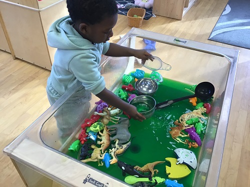 Child exploring in sensory bin.