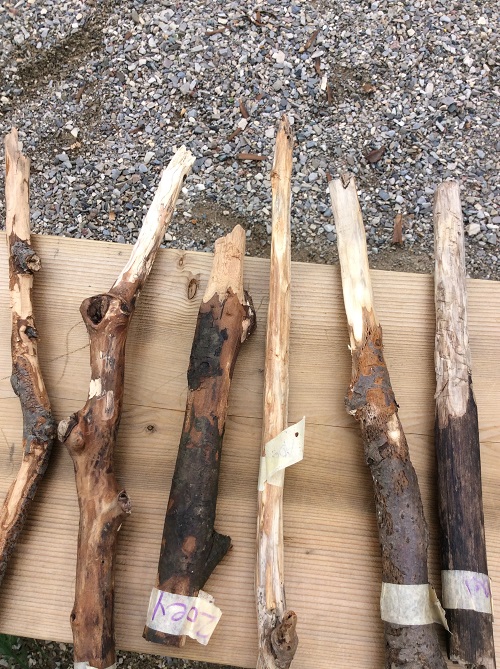 sticks laying on a table