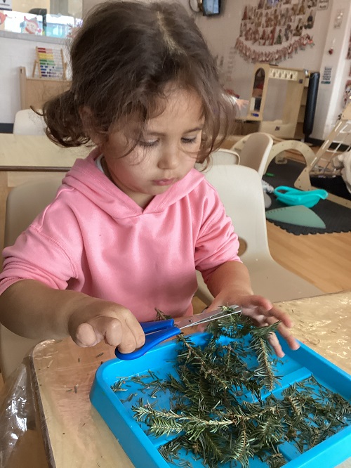 A child exploring with some trimmed tree branches.