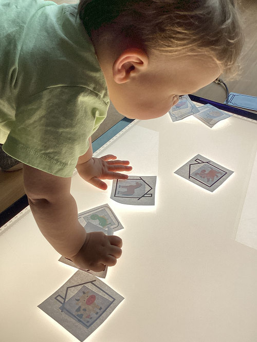 An infant child looking at photos on the light table
