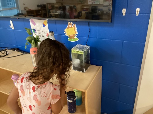 A summer camp child looking at caterpillars in a container
