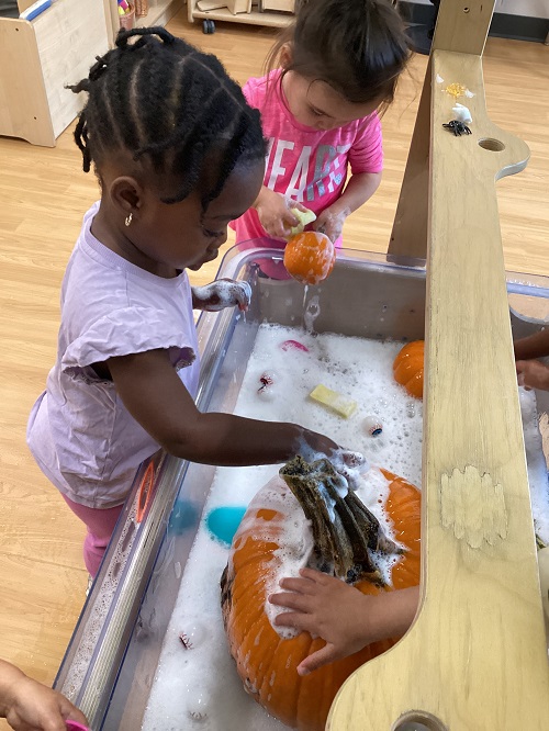 Toddlers washing pumpkins in the sensory bin