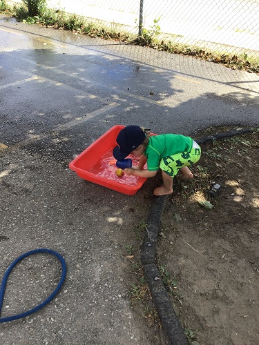 toddler child playing in water bin 