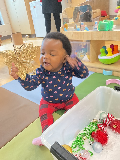 holding a christmas leaf