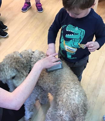child brushing a dog with a brush