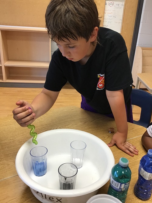 School aged child using dropper for blue liquid in cup